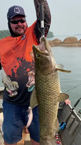 Mais um lindo peixe no rio Juruena 