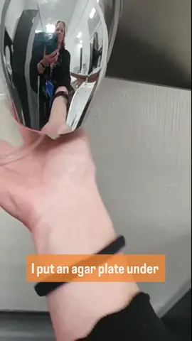 Urghh, don't use a hand dryer😱🦠 ----- Update: thank you for all your comments & suggestions. Totally blown away by how far this little video has reached 😮 I'm planning on doing some update videos on this experiment and will post on here, as well as on our FB & IG pages, which you are welcome to follow as well 😉 Thank you, Ruth (from Devon Science) #germs #publictoilet #bacteria #dirty #gross #justdont #scienceteacher  #handwashchallenge #handdryer #Science #scienceexperiments #microbiology #scienceproject #lesson #handdryer #handdryerbacteria 
