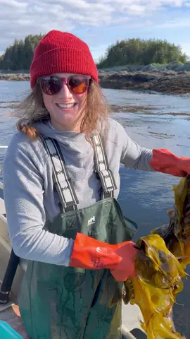 Alaska's coast is overflowing with flavors and mouthwatering foods. We're proud to be a local food processor preserving the seasonal bounty of fresh, one-of-a-kind, nutrient dense foods from our sea and shore to share with friends and family year round. Stock up while you can! #alaska #fyp #viral #Foodie #pickles #hotsauce #lingitaaní 