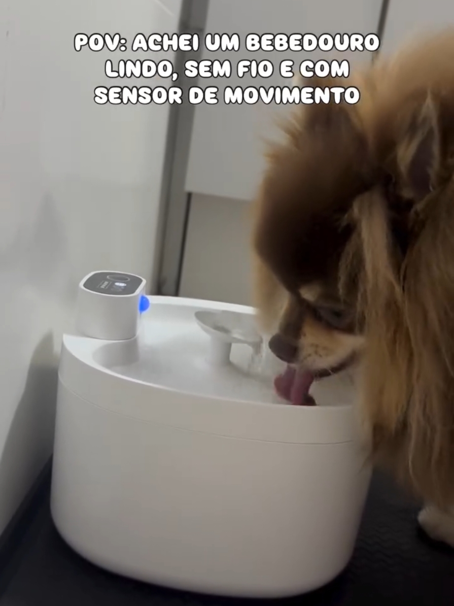 🚨 Bebedouro Pet Fonte Agua com Sensor e Filtro Gatos e Cachorro 2.6L  ✅ Link na Bio Siga @achados_super10 para mais achadinhos incríveis 💝  #achadinhosdashopee #shopee #acheinashopee #achadinhos #bebedouro #bebedouropet  #caes #gatos #animaldeestimação 
