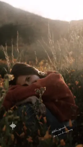 Natalia Lafourcade- Amor, amor de mis amores💖✨️ #natalialafourcade #amor #musicabonita #lyricsvideo ##parati #fypviralシ  #CapCut 