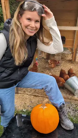 Cleaning the Chickens Coop 🐔🎃 Thanks to my chickens for helping to carve the pumpkin.  credit 🎥 @Itsbreellis  #chickencoop #chicken #asmr #CleanTok #cleaningasmr #chickencoopcleaning #asmrcleaning #cleaningwithgabie 
