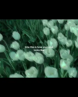 ethereal #aesthetic #core #flowers #relatable #soul #etherealcore #fyp 