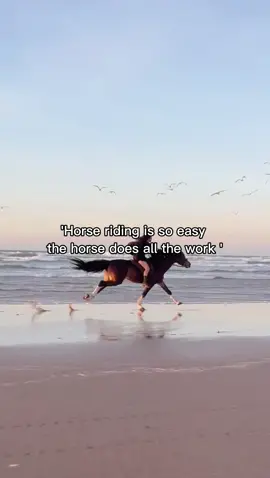 when people who don’t ride horses say “what all you do is sit there”…. babe lets see you hop on and see what happens??? #horsegirl #horserider #barebackgallop #runninghorse #horsepeople #horseriding #CapCut 