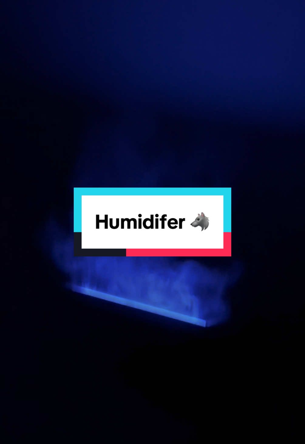 Alpha says… no 🐺#humidifier #flames #nightlight #tiktokshop #spotligh 