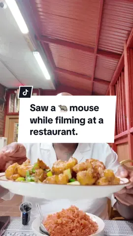 While filming at a restaurant I saw a 🐀 mouse run on the ledge near my table after I received my food from the waiter. #RestaurantReview #mouseatrestaurant #restaurant #restaurantproblems #badreviews 