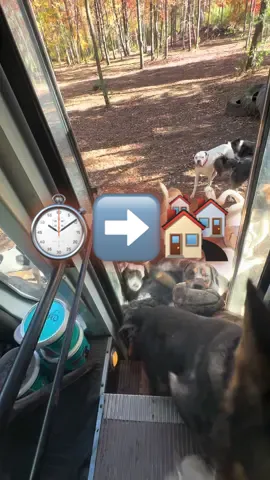 ⏱️➡️🏘️