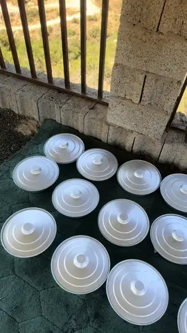 انتاج عسل القرض والسدر ١٤٤٦هـ