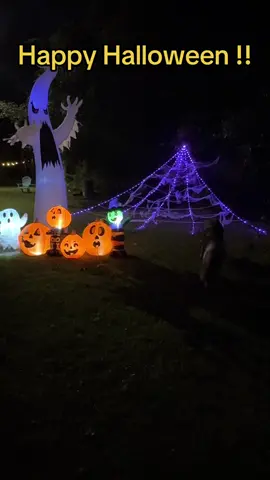 HAPPY HALLOWEEN! Great yard decor. Easy set up! #halloweendecor #holiday #weim #weimaraner #scary #dog #halloweenlook #halloweenishere @Joiedomi @uesreaxy @GOOSH  