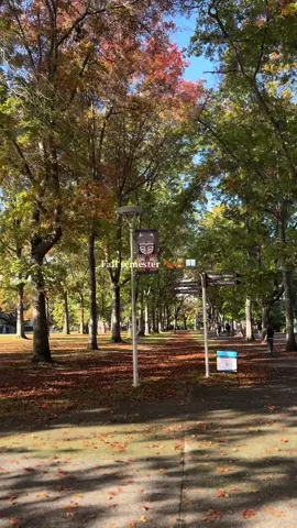 Campus so pretty it makes me forget i want to kms for a second🫶🏼🫶🏼 #uvic #uni #university #canada #fall 