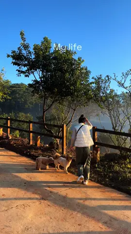 Mùa thu, vườn hồng, chiếc farm nhỏ ở một sườn dốc cuối thung lũng và những quả hồng ngọt ngào❤️👩🏻‍🌾 #mylife #Mocnhien #thiennhien #garden  #nauan #countryside #countrylife #lovekitchen #kitchen #house #dreamhome hi#nangthuytinh #coffee#vuonhong #hongtreogio #dalat  #nangthuytinh #xuhuong #glamping #tiemcaphe