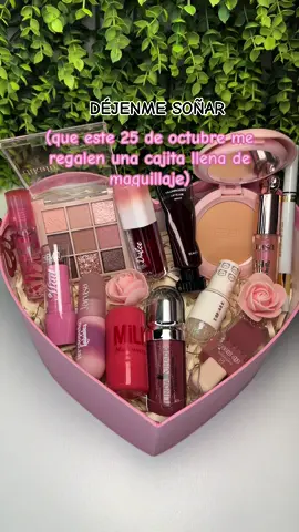 Box encanto 💝 #dejenmesoñar #maquillaje #25deoctubre #diadelmaquillaje #diaderegalarmaquillaje #tiendademaquillaje #regaloparaminovia #regalospersonalizados #fyp 
