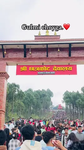 Gulmi choyga.🫶❤️#tiktoknepalofficial #proud