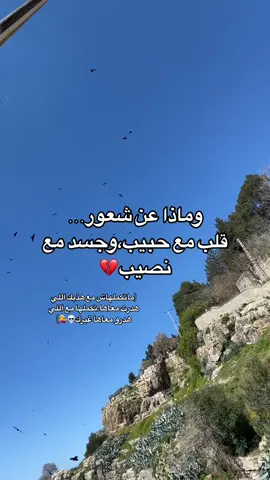 #constantine❤🇩🇿❤ #setif______19 #الجزائر #fyppppppppppppppppppppppp #fypシ゚viral #viraltiktok #alger #viral  @تميم المزداوي  @ane_key  @wnts11 