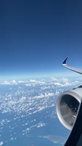P butuh liburan 😵‍💫  #aviation #windowseat #singaporeairlines #naikpesawat #skyline #fyp 