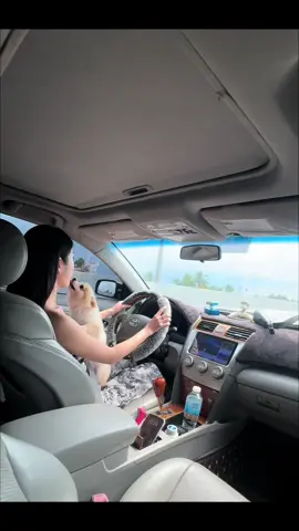 đường về thôn e