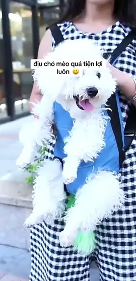 địu chó mèo quá là tiện lợi luôn nè 😀 #cute #dogs #cats #kent 
