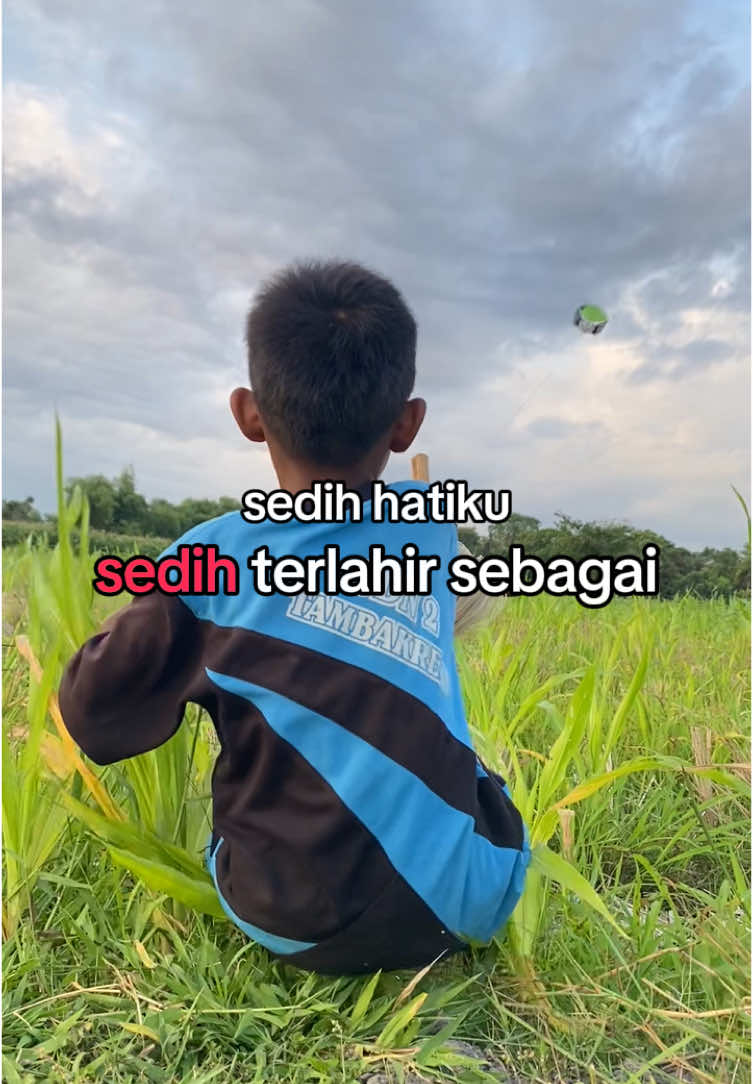 Bukan Layangan Kelas Berat Tapi Tubuhku Terlalu kecil