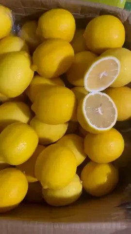 Chanh tây vàng 🍋🍋🍋  #chanhvang #lemon #freshlemonade #dalat #chanhtay🍋 #baovofarm #fruits 