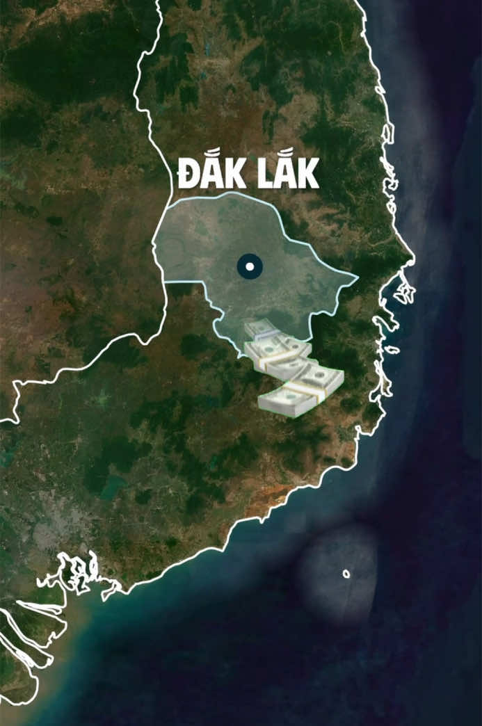 Xuất khẩu hạt Cacao - Đắk Lắk #ivg #kinhte #xuatkhau #LearnOnTikTok #nongnghiep #kinhdoanh 