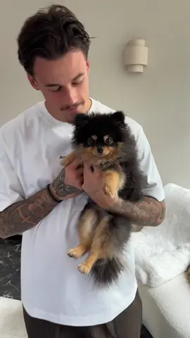 He loves our fur baby so much 🧸 #fyp 