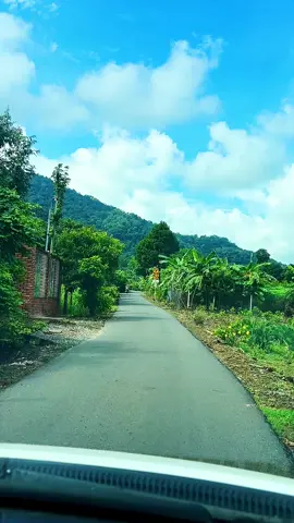 Lời thương chưa ngỏ 🍀🍀