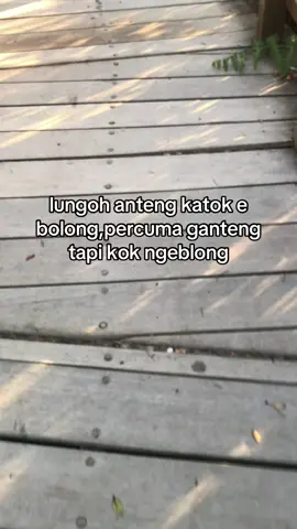 #klaten24jam #royoupage #fyp 