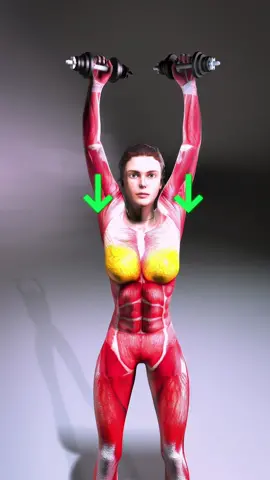 Ready to Master the Dumbbell Shoulder Press? 💪 Want to perfect your shoulder press form? This move is essential for building strong, sculpted shoulders. Keep your core tight, elbows slightly bent, and press those dumbbells overhead for maximum results! 🔥 #shoulderworkout #dumbbellpress #gymtips #strengthtraining #upperbodyworkout #shoulderpress #musclebuilding #fitnesstips #workoutguide #fitnessjourney #shouldergains #workoutmotivation #weightlifting #gymroutine 