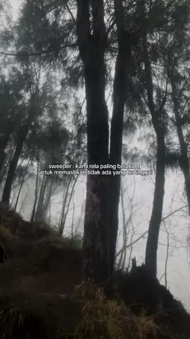 Tugas sweeper emang cuman jaga tapi tidak bisa memiliki!!  #gunung #indonesia #lawumountain #lawu #story #kabut #tenang #calm #forest #pendaki #pendakigunung #sweeper #sad #bangkit #pendakiindonesia #mendaki #gunungindonesia #ceto #moment #hujan 