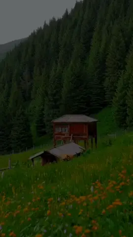 سوڕەتی (النجم) -  القارئ : احمد العجمي