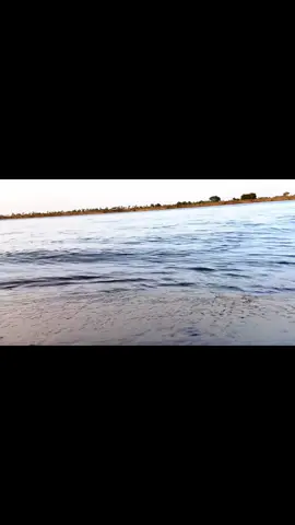 #شعب_الصيني_ماله_حل😂😂 #دنقلا 