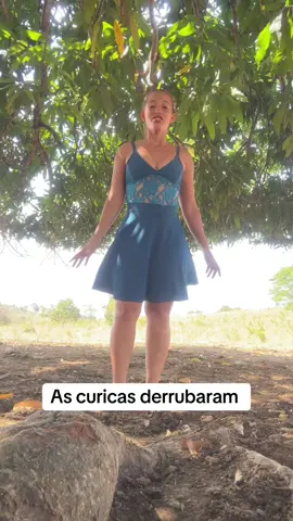 As curicas derrubaram #registrodevida 