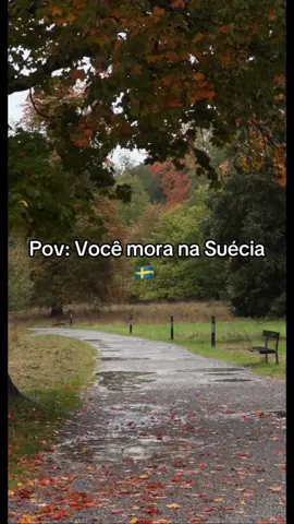 #vibessad #aesthetics #europe #words #suecia #nordico 