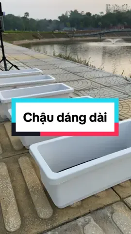 Chậu dáng dài trồng cây kích thước 47x19 cm ạ#chautrongcay #phanboncay #xuhuongtiktok2024 