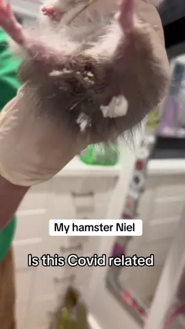 #animals