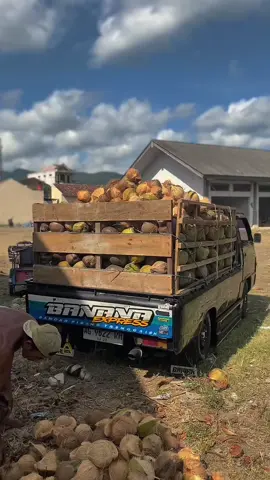 Paringi lancar mawon gusti 😊 #l300 #eltitusi_indonesia🇮🇩 #l300_pickup #kelapabalap #fypシ゚viral #beranda #CapCut 