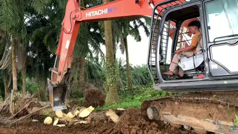 Masih belajar😂😂#fypシ゚viral #fyppppppppppppp #operatormudapunyacerita 