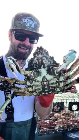 Crazy Looking Sheep Crab #crab #barnaclechronicles #asmr #friendliestcatch #rockhold #seafood #ocean #deepseacreatures #crabs 