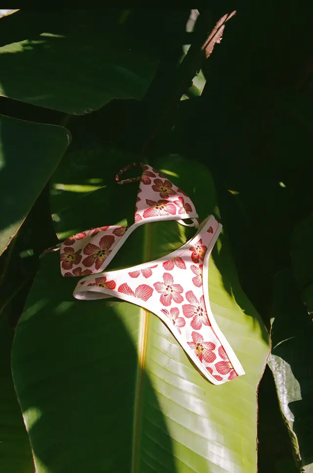 Shot on Canon eos 1n + olympus epic zoom ⭐️ @canonusa @Kodak Plus #35mm #photographer #filmtok #analogphotography #canoncamera #filmtipsandtricks #kodak #portra400 