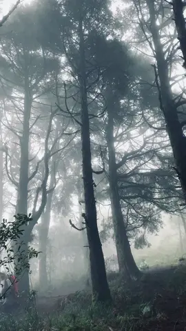 Menghirup aroma kabut sama halnya mengingatkan ku akan wangimu.                    #pendaki #pendakigunung #pendakigunungindonesia #pendakisantuy #pendakian #gunung #gunungindonesia #Hiking #Hiking #petualangan #mountain #mountains#seram #aesthetic #pendakifomo #klaten #traveltiktok #sad #sedih #mountains #fyp #fypシ #masukberanda #alam #seram #aesthetic #mdplindonesia #Love 