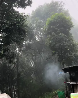 rain+cloudy= peace👤 #fyp #nature #rain #clody 