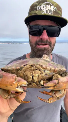 Barnacle De Chronicles #asmr #crab #seafood #barnaclechronicles #crabs #friendliestcatch #rockhold #deepseacreatures #bigfish 