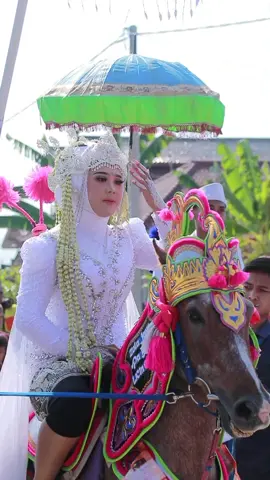pengantin disambut kuda 🥳 #kudarenggongsumedang #sumedanghits #kudarenggong 