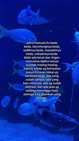 Sudah punya porsinya masing masing, lantas apa yg mesti di khawatirkan? #4u #fyp #quotes #selflove #reminder #selfreminder #lewatberanda #xyzbca 