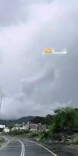 قنا الخضراء🍃..