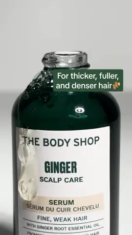 Solusi rambut rontok dan berketombe: ✨ginger range✨