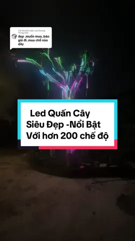 Trả lời @Dương Trung Hấn Lé Trang Trí Cây Đẳng Cấp #xuhuong #ledquancay #nhaytheonhac #dienmayquanghoa37 