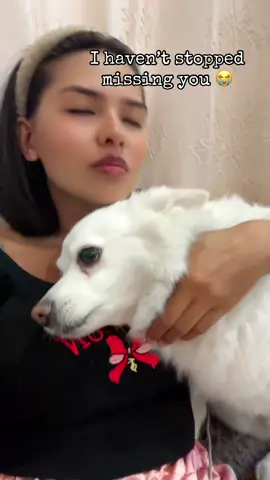 I haven’t stopped missing you😢#petlover #pet #dog 