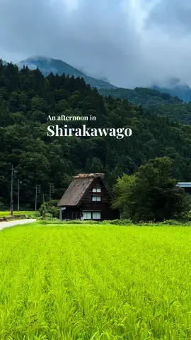 Shirakawago is truly one of the most beautiful place i’ve ever been to ✨🌟 #shirakawago #japan #Summer #travel 