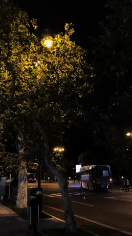 ))#khuliyeff❤️‍🔥 